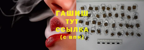 СК Алексин