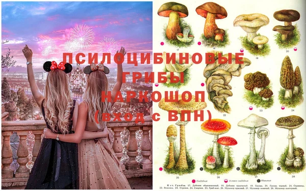дмт Алзамай
