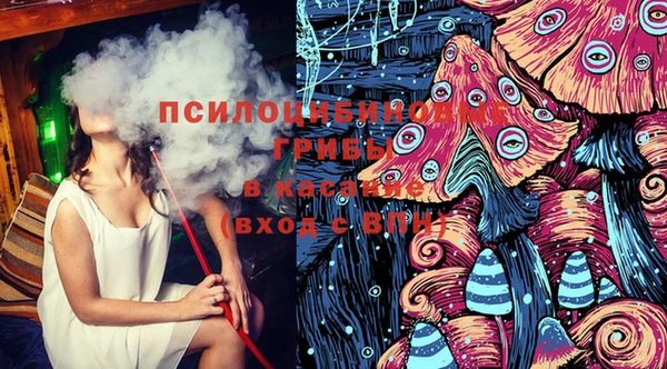СК Алексин